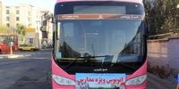 شگرد جدید تیم زاکانی؛ صفرسازی تقویم برای جمع کردن افتخار!