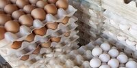 تعیین قیمت جدید برای تخم مرغ توسط  سازمان حمایت از مصرف کنندگان و تولیدکنندگان