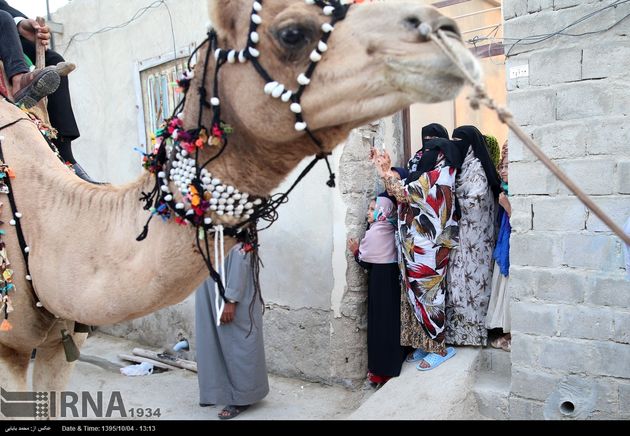 عروسی سنتی در قشم