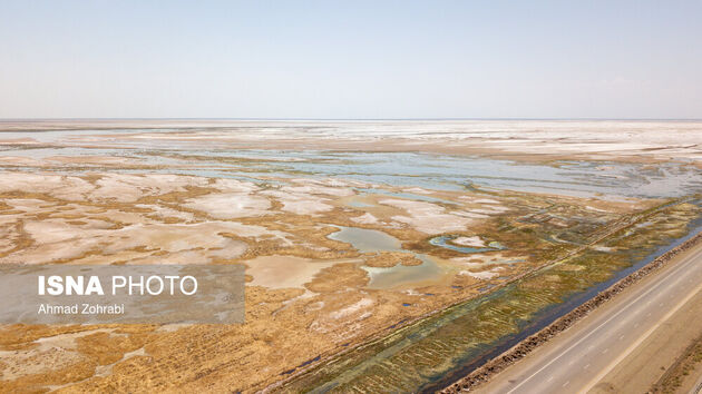 62335922_DJI_0101