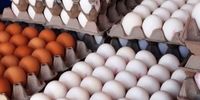 قیمت یک شانه تخم مرغ در بازار چند؟
