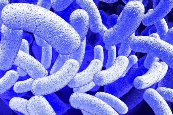 چند کیلو میکروب در بدن شما زندگی می‌کند؟
