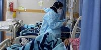 مراقب باشید، پیک ششم در راه است