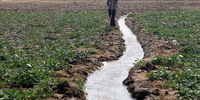 جیره بندی آب کشاورزی قطعی است