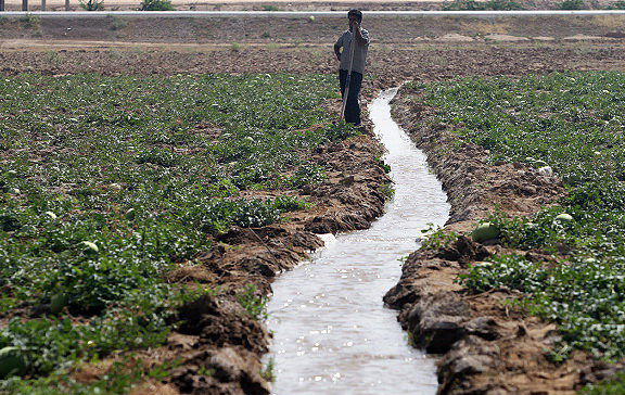 جیره بندی آب کشاورزی قطعی است