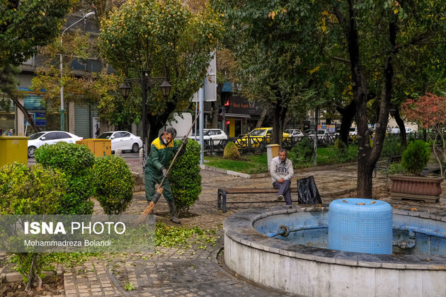 62079639_Bolandi-3-of-11-