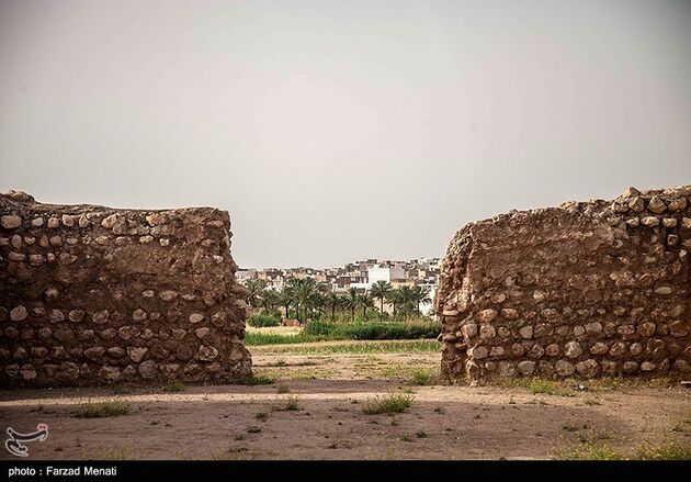 image14