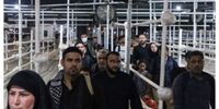 اعلام آمار بازگشت زائرین اربعین در ۲۴ ساعت گذشته