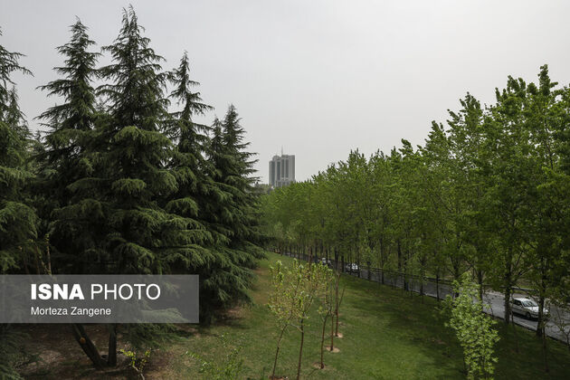 62227975_zangene-isna-31