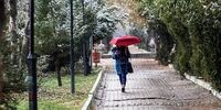 بارش برف و باران در ۳۰ استان/ کاهش محسوس دما