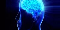 متوسط IQ جامعه ایرانی چقدر است؟