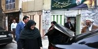 دیدار سخنگوی دولت با مادر شهید جمهور در مشهد