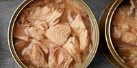 یک برداشت نادرست از محصولات کنسروی/ تن ماهی ماده نگهدارنده دارد؟