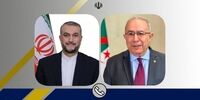 امیر عبداللهیان برای سفر به الجزایر دعوت شد