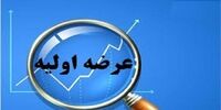 دومین عرضه اولیه قرن در راه بازار سرمایه
