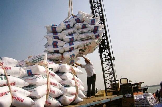 واردات برنج افزایش یافت؟/ چرا برنج داخلی گران شد