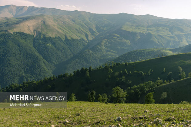 4203508_MehrdadDehkordi_5