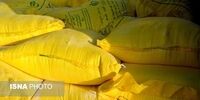 نان‌هایی که فروخته نمی‌شوند، اما آرد می‌گیرند!/ نانینو چگونه تراکنش‌های غیرعادی را شناسایی می‌کند؟