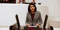 جنجال عضویت خانم نماینده در پ.ک.ک/ دستور بازداشت فوری صادر شد