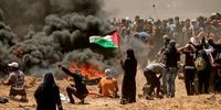 برزیل حملات اسرائیل به غزه را محکوم کرد 