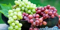 این افراد لب به انگور نزنند 