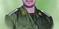 شهادت یک مامور نیروی انتظامی در این استان/ علت چه بود؟