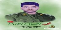 شهادت یک مامور نیروی انتظامی در این استان/ علت چه بود؟