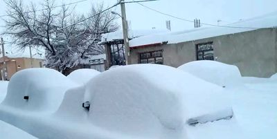 دفن شدن خودروهای این شهرستان زیر برف!