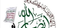 واکنش عضو انصارالله یمن به طرح ترامپ/ هدف او به گوشه کشاندن حماس است