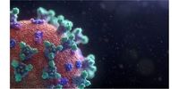 یافته هولناک درباره کرونا ویروس