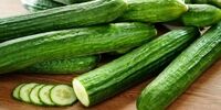 خواص شگفت‌انگیز خیارسبز که از آن بی خبرید+ اینفو