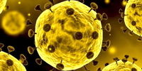 دستاورد جدید روسیه برای درمان کووید19/ تولید آنتی بادی کرونا با کشت سلولی