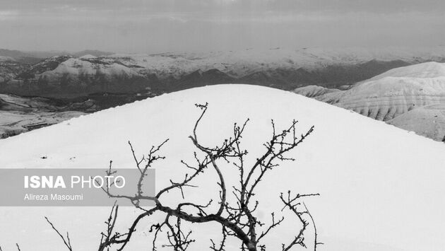 62187542_Alireza-31-of-49-