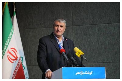 اظهارات مهم سخنگوی سازمان انرژی اتمی درباره غنی‌سازی/ برای خدمات پزشکی و تولید برق به سوخت هسته‌ای نیاز داریم