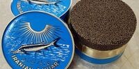 گران‌ترین خاویار ایرانی در سال 1401 چقدر قیمت خورد؟+اینفوگرافیک