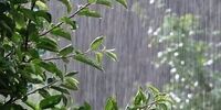 این استان ها هوشیار باشند/ باران در راه است
