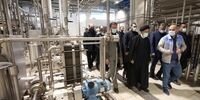 دستور رئیس جمهور برای راه‌اندازی یک کارخانه لبنی تا یک ماه آینده