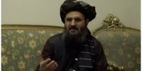 طالبان از ایران الگو می‌گیرد!/ ادعای چهره حکومتی طالبان درباره الگوگیری از پیشرفت ایران