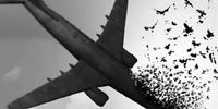  ارسال نام ۱۴۸ مسافر هواپیمای اوکراینی به عنوان شهید به بنیاد شهید