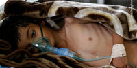 جنگ خاموش عربستان و آمریکا در یمن+ عکس