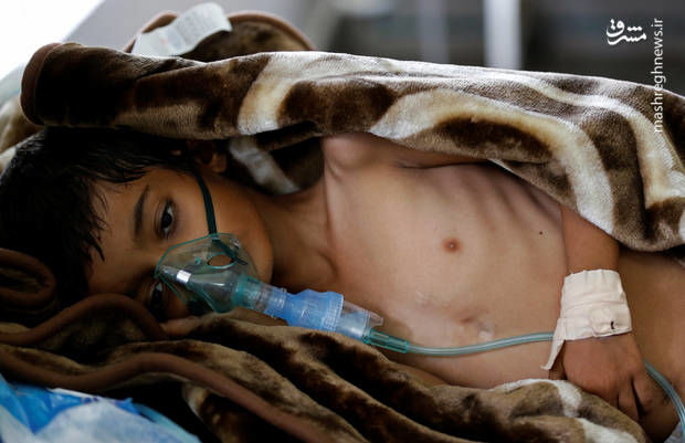 جنگ خاموش عربستان و آمریکا در یمن+ عکس