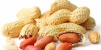 اگر آلرژی به بادام زمینی دارید؛ حتما بخوانید!