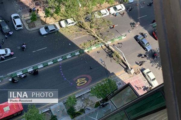 سقوط چنار ۶۰ ساله در خیابان ولیعصر