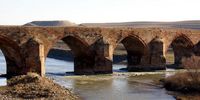 زنگ هشدار برای ایران، ارمنستان و ترکیه به صدا در آمد/ ارس، تهران و ایروان را در مسیر تنش زیست محیطی قرار خواهد داد؟