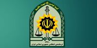 تصاویری از صحنه گروگان‌گیری در خیابان ولیعصر تهران+ فیلم 