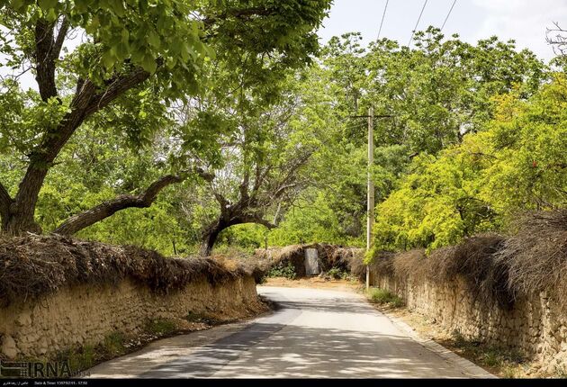 15 اردیبهشت روز شیراز