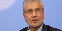 علی ربیعی : حال دلم خوش نیست ،آرامش می خواهم 