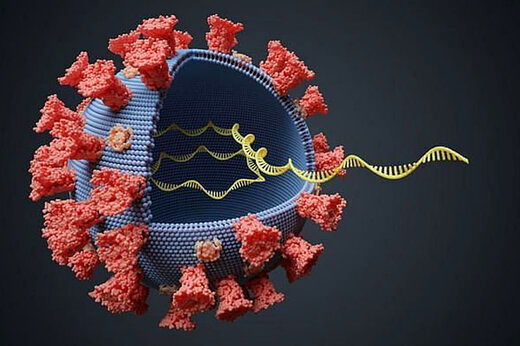 روش‌های جدید ویروس کرونا برای فریب سیستم ایمنی بدن