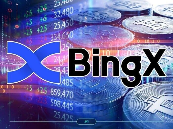 صرافی bingx چیست؟