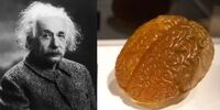 یک حقیقت عجیب درباره مهمترین دانشمند معاصر، انیشتین